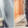 Cat Window Bed