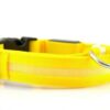USB RECHARGEABLE LED PET DOG COLLAR